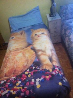 68349_438144039556600_226788316_n